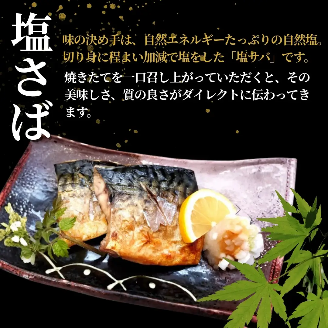 塩さば 合計20切入 約1900g 吉雪｜新潟 さば