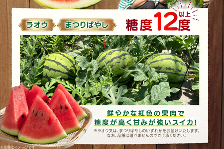 AJ455 【令和9年度出荷分】 湧水の里 モリファーム 赤玉 スイカ ラオウ まつりばやし 3L 8～10kg 1玉