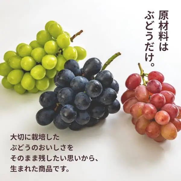 TK25 ぶどう 冷凍スペシャルパウチ リアル100％ Lサイズ（95g） 5個 // 長野県 南信州 冷凍フルーツ 冷凍パウチ パウチ シャーベット スムージー 無添加 無加糖 無加水 葡萄 シャインマスカット ナガノパープル クインルージュ