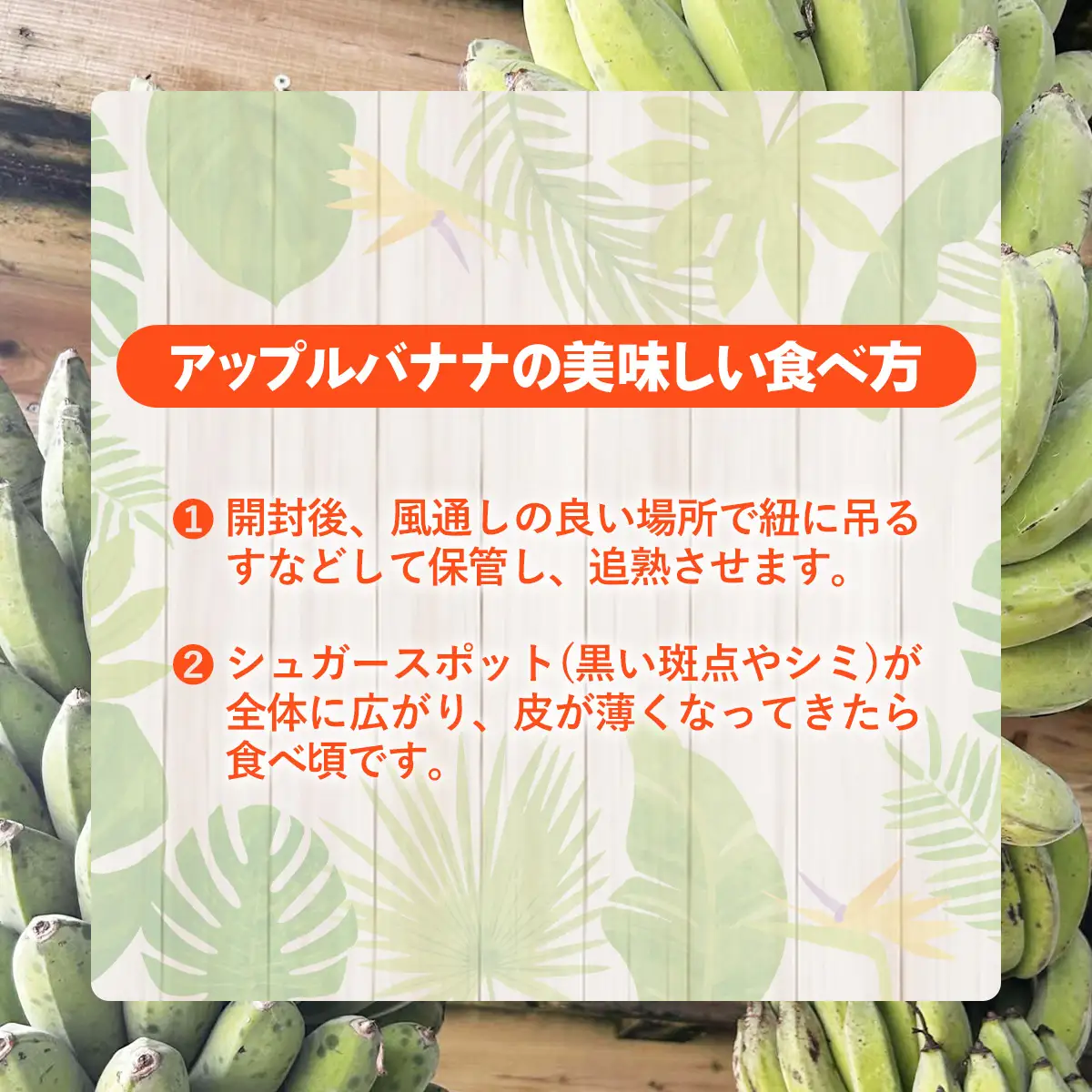  国産 希少種！南国フーズのアップルバナナ 約5kg - ばなな 小ぶり 沖縄県産 産地直送 朝食 おすすめ 八重瀬町【価格改定】