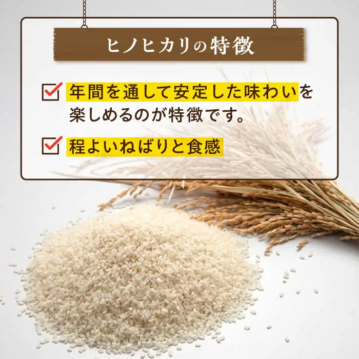 糸島産 ヒノヒカリ 10kg 糸島市 / 平山農園 米 白米 米 白米 ご飯 お米 10kg[AXN006]