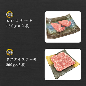 【定期便 全6回】宮崎県西ノ原牧場・なかにしプレミアム和牛ステーキ定期便（牛肉 黒毛和牛 ステーキ サーロイン モモ 定期便 A4 A5）