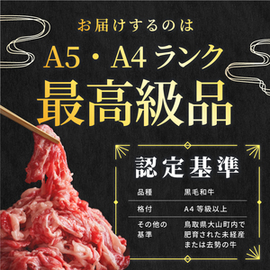 HA-02　肉質日本一の和牛「大山黒牛」切り落し１kg