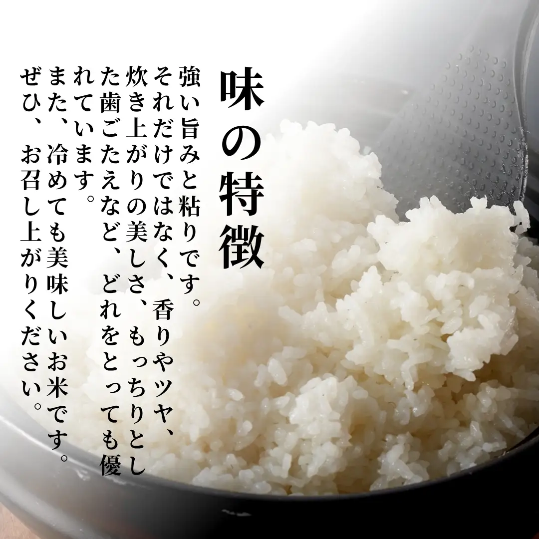 コシヒカリ 令和8年産 新米 先行予約 毎月 定期便 伊彌彦米 10kg(5キロ×2袋) 全6回 | コシヒカリ 特別栽培 新潟県
