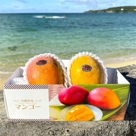 【2027年7月から順次発送・数量限定】仲本マンゴー園の希少品種の夏小紅1kg(2～3玉)【配送不可地域：離島】【1664978】