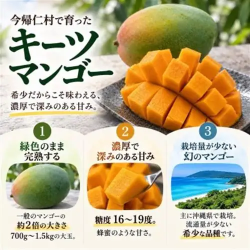 【発送月固定定期便】家庭用マンゴー2種食べ比べ(アップルマンゴー＆キーツマンゴー)全2回【配送不可地域：離島】【4074843】