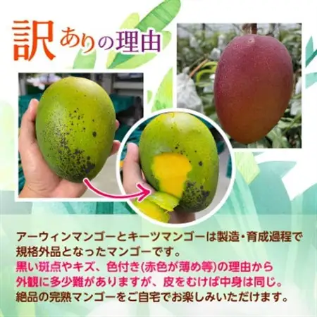 【発送月固定定期便】2027年発送 JAおきなわが厳選する南国フルーツ定期便全3回【配送不可地域：離島】【4077025】