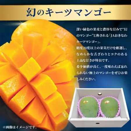 【発送月固定定期便】2027年発送 JAおきなわ厳選のプレミアムフルーツ定期便全2回【配送不可地域：離島】【4077040】