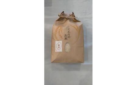 米 こしひかり5kg ykj01