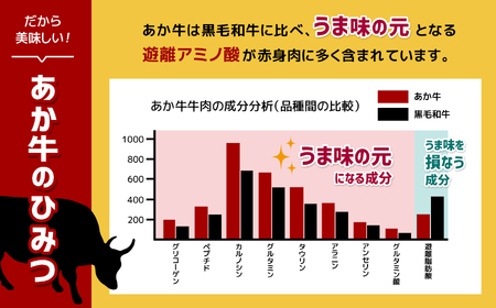 【定期便 3回】あか牛スジ 1kg