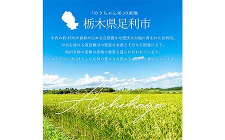 令和7年 足利市産 のりちゃん米 もち米 (きぬはなもち) 1kg＜栽培期間中 農薬・肥料不使用＞ 餅 もち 米 こめ 食品 農家 限定 2025年 年末 正月 新年 贈答 贈り物 ギフト プレゼント 家庭 自宅 栃木県 足利市 F7Z-1719