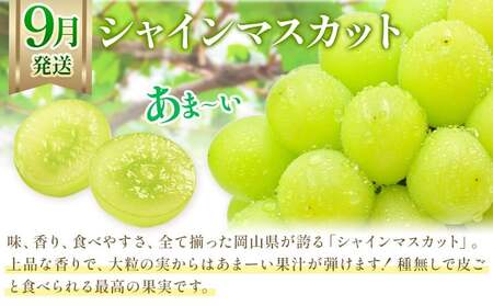【2027年発送】【定期便】岡山の果物　3種食べ比べ 3回発送（令和9年7月中旬～11月下旬頃発送）【果物】