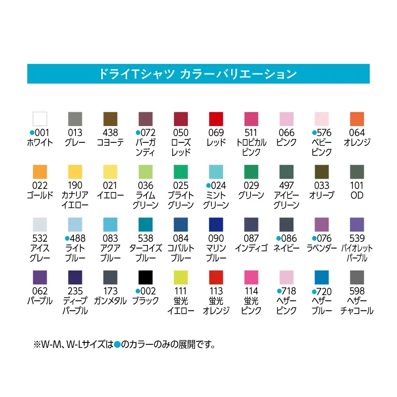 DTF 転写 プリント オリジナル オーダー ドライＴシャツ メンズ レディース イラスト：9枚
