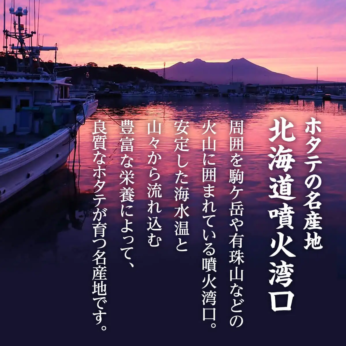 北海道産 ボイルベビー ホタテ Lサイズ 1kg 加熱用 ホタテ 帆立
