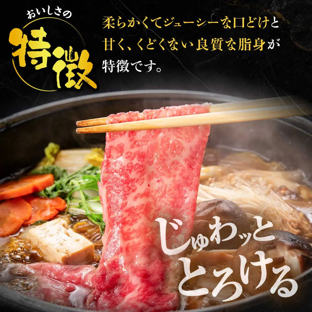 博多和牛 モモ スライス 400g [VET002]