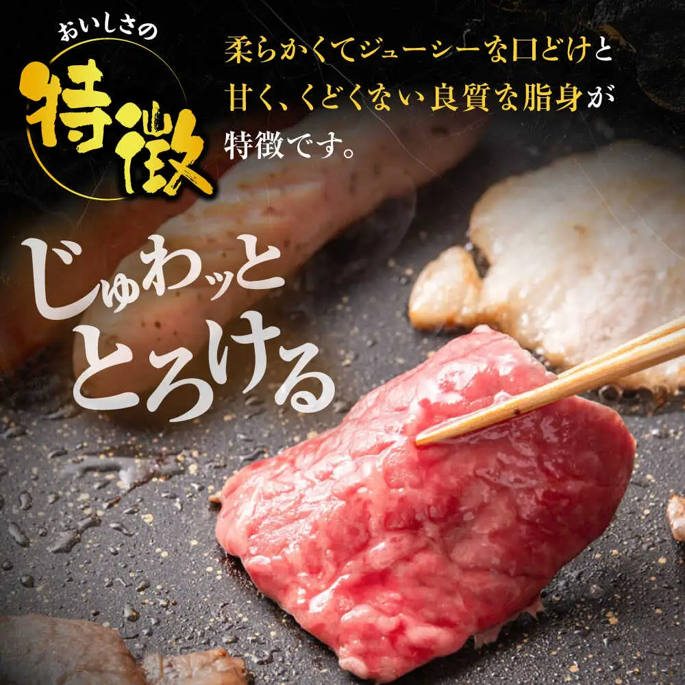 博多和牛 肩ロース 焼肉用 400g [VET007]