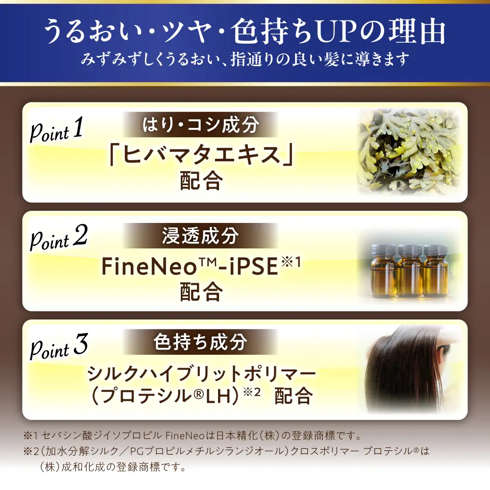 ダリヤ サロンドプロ カラートリートメント 3個セット【アッシュブラウン】 / 稲沢市 / 日興商事株式会社 [BMBK003-03]