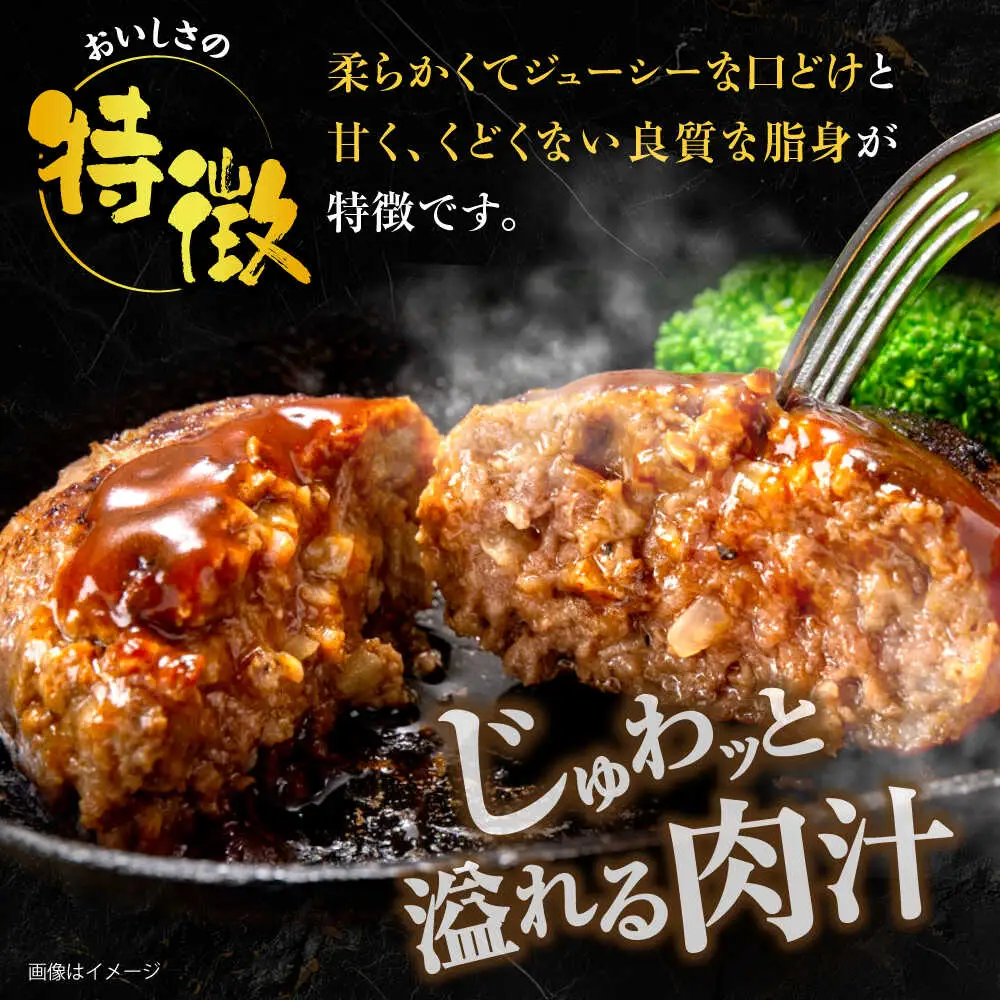 博多和牛 ハンバーグ140g×5個入り [VET011]牛肉 肉 おすすめ 人気
