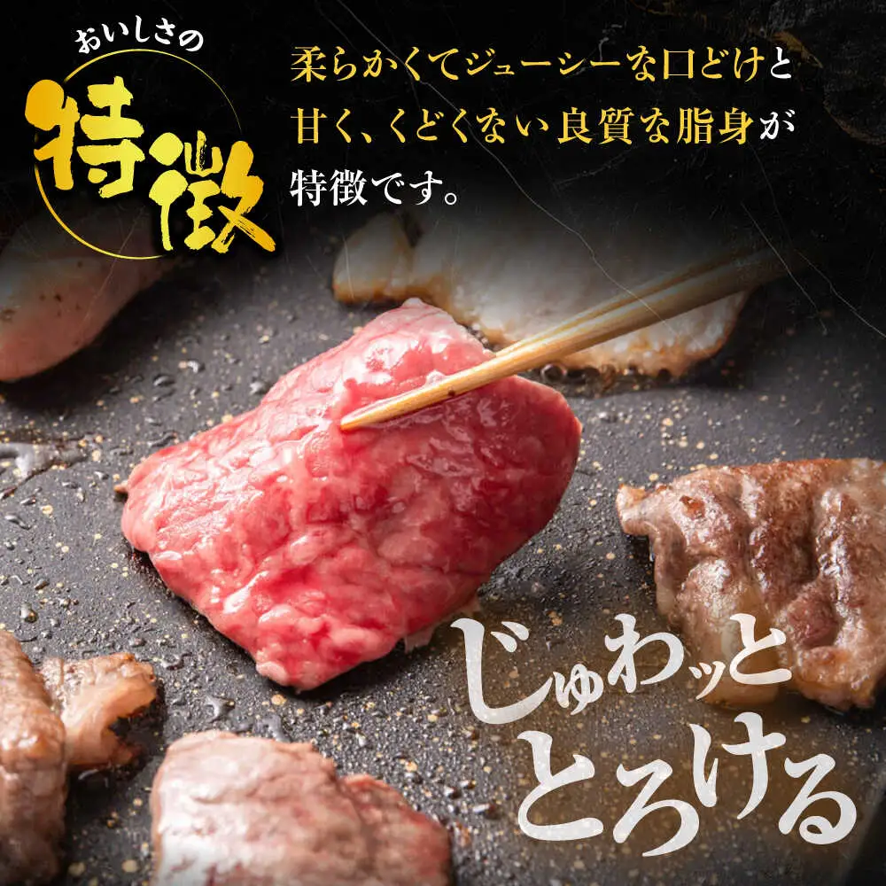【全3回定期便】博多和牛 モモ 焼肉用 400g【2月発送開始】[VET026] 牛肉 肉 おすすめ 人気