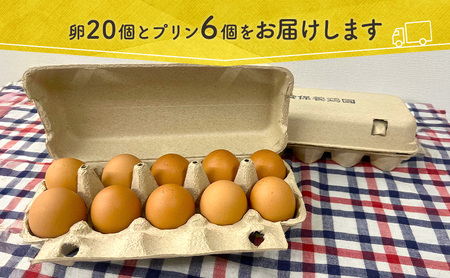 卵スイーツセット 鈴保養鶏 うみたて卵 プリン 卵スイーツセット【卵20個 プリン6個】【6か月定期便】