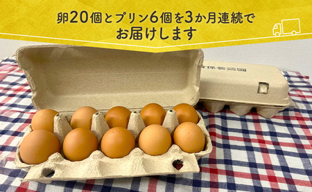 定期便 3か月 うみたて 卵 スイーツ セット 定期便