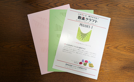 数楽クラフトセット PEGASUSI 波紋 2つの2変数関数のセット 数楽アート 数楽クラフト 組み立て 数学 数式の美しさ 馬の鞍 三角関数 アート オブジェ 立体グラフ 多変数関数 2変数関数 ユニーク 東京都 大田区