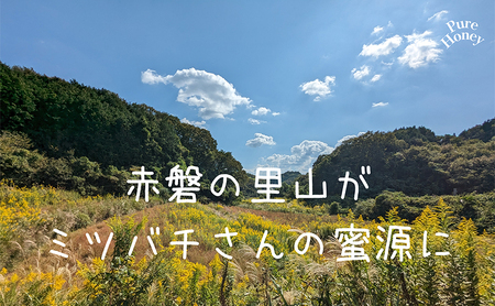 はちみつ 蓮華蜂蜜 天然 非加熱 はちみつ 【300g×1個】