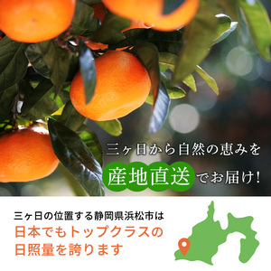 【2025年11月中旬より順次発送】三ヶ日みかん 早生 4kg以上 みかん ミカン 蜜柑 早生みかん 三ヶ日 果物 くだもの フルーツ 旬の果物 旬のフルーツ 柑橘 柑橘類 糖度 静岡 浜松市【配送不可：離島】