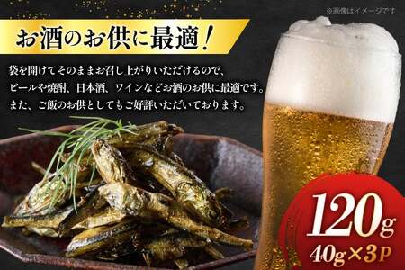 燻製 魚 おつまみ イリコ佃煮 40g 3p 総計120g セット