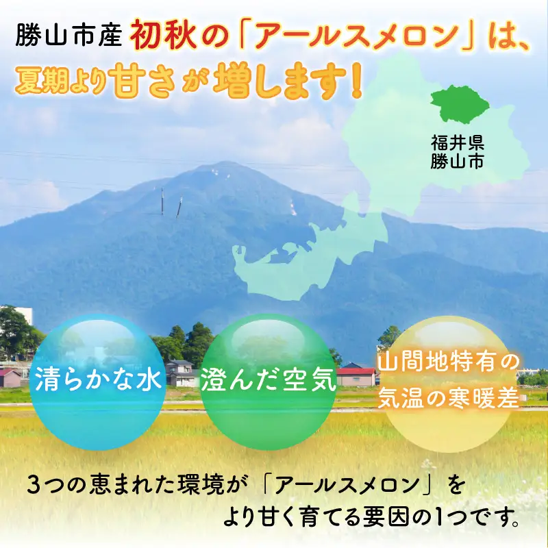 【先行予約】メロン 若猪野アールスメロン 1.7kg以上 1玉 箱入り  [A-011013] 