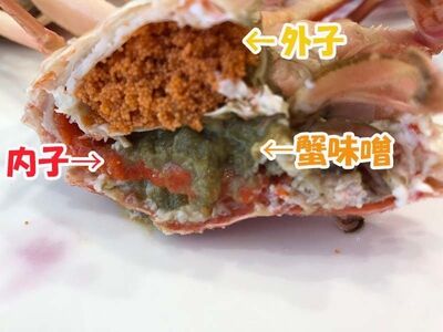【1月～3月発送】【訳あり】冷蔵便　生セコガニ　約1kg（5～9尾入）1079005