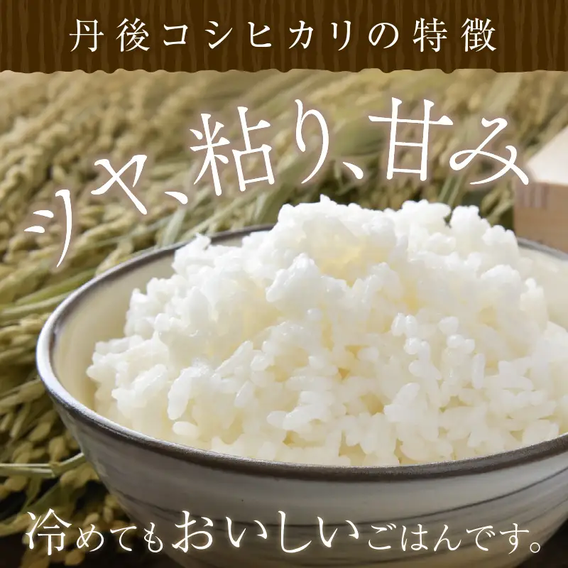 【定期便6回】令和8年産 丹後こしひかり 3kg×6ヵ月 1等米