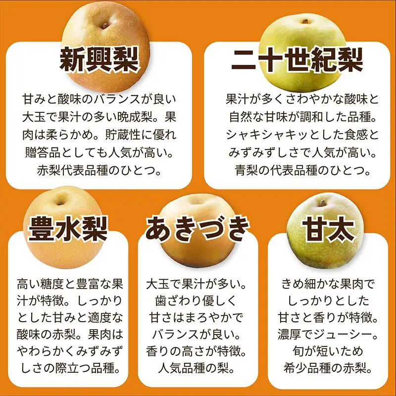 梨 定期便 計3品種 京丹後市｜フルーツ梨