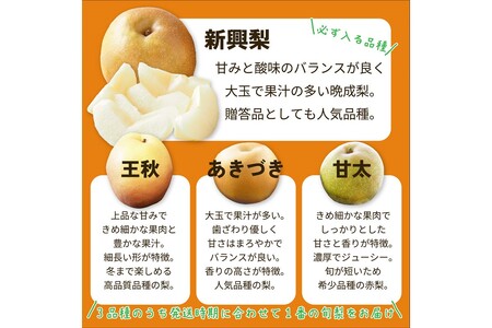 【先行予約】梨セット  5kg 新興と別品種｜京丹後市 梨