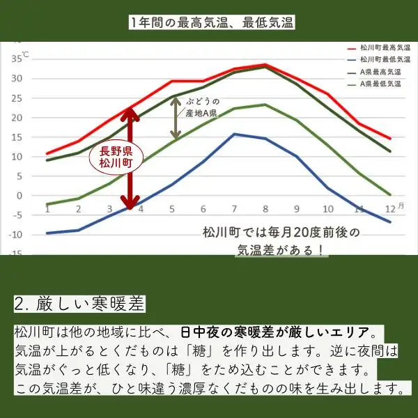 TK28 新世代ぶどうジャム4種＋おまけスプレッド // 長野県 南信州 ぶどう シャインマスカット ナガノパープル クインルージュ 寒天 ギフト 詰合せ フルーツジャム 香料不使用 着色料不使用 スプレット