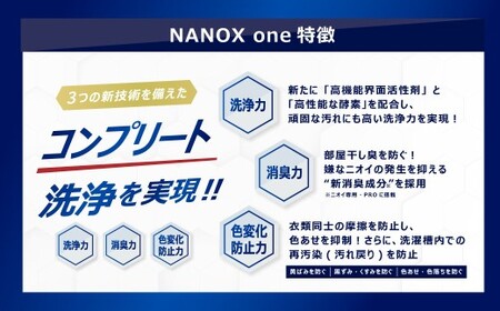 NANOX one PRO 替特大セット（替特大12個） 740g×12個 合計：8,880g 洗剤 洗濯用洗剤 洗濯 ナノックス ナノックスワン NANOX NANOXone 神栖市