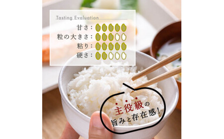 米 【3か月定期便】R7年産 新潟県産 コシヒカリ 10kg （精米） 新潟のど真ん中 見附市 こしひかり 米 お米 白米 国産 ごはん ご飯