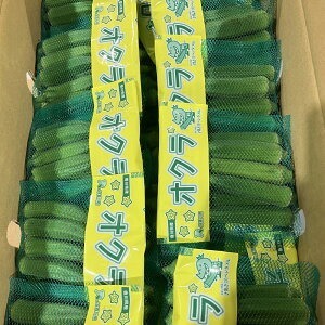 オクラ　約2.8kg