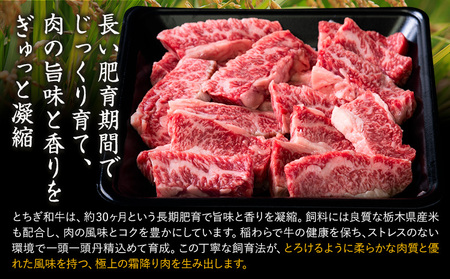 【ふるなびWEEK対象】黒毛和牛とちぎ和牛焼肉切り落とし1.2kg A4～A5等級 霜降り