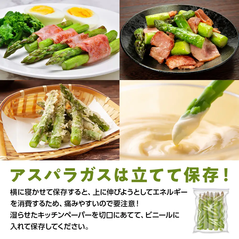 【 2027年 春発送 】 グリーンアスパラ 1kg M～2L アスパラ アスパラガス 野菜 千歳 北海道