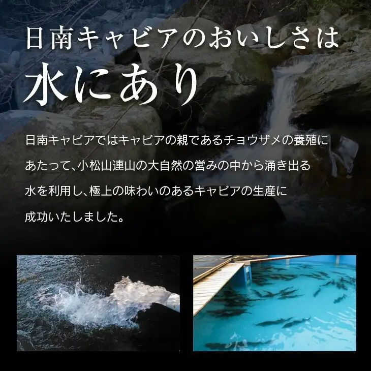 キャビアフィッシュ スモーク 50g 日南 キャビア 4g 黄金 セット 燻製 加工品 魚介 魚貝 魚卵 海産物 食品 国産 世界三大珍味 黒いダイヤ 希少 贅沢 おつまみ おすすめ 高級食材 人気 お祝 おもてなし お取り寄せ グルメ 特産品 宮崎県 日南市 送料無料_BB117-23