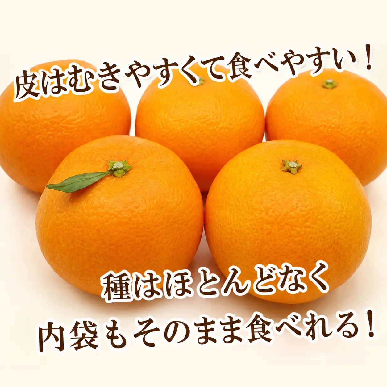愛媛 みかん 5kg