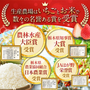 令和8年度産 先行予約 とちぎの星 玄米 約5kg