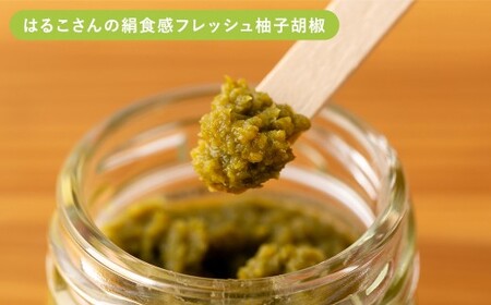 人吉球磨の達人のゆず胡椒 各1本（25g）×5種セット （はつえさん・はつよしさん赤・みちよさん・はつよしさん黄・はるこさん） 計5本  柚子胡椒 ゆず胡椒 柚子こしょう ゆずこしょう 柚子 ゆず 胡椒 こしょう 調味料 セット 熊本県 人吉市 常温