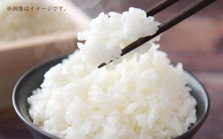 令和8年産 岐阜県美濃加茂市蜂屋地区で作ったお米 ハツシモ 5kg 【2026年11月下旬～3月下旬発送予定】