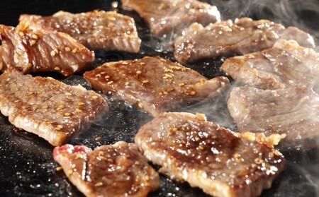 井上牧場 朝倉和牛　焼肉セット（肩ロース） ※配送不可：離島 お肉 牛肉 バーベキュー 