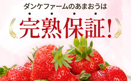 いちご あまおう 約275g×6P R9年3月～5月中旬順次発送 いちご