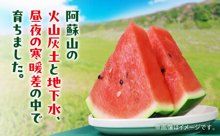 【2026年 先行予約】【数量限定】小玉すいか L以上 3?5玉入り 約4.5kg【日本フルーツ株式会社】[AYDA010]