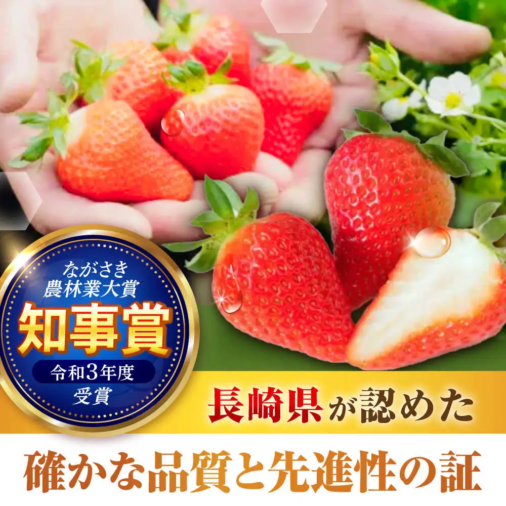 【2回定期便】※【2027年3月上旬頃より順次発送／先行予約】訳あり いちご「ゆめのか」 S-Lサイズ 1.8kg / 訳あり 訳あり商品 訳あり果物 果物訳あり いちご イチゴ 苺 イチゴジャム / 諫早市 / むらたサービス[AHFA004]