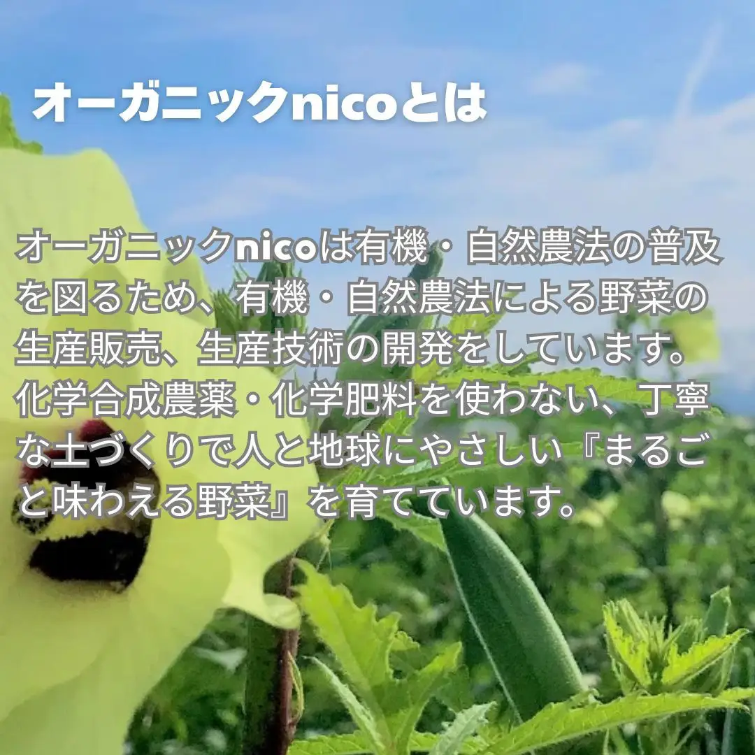 【オーガニックnico】有機イチゴで作ったジャムとシロップの詰め合わせ｜無添加 人気 いちご ジャム［ 京都 有機  オーガニックいちご 無添加 無着色フルーツ 果物人気 おすすめ お取り寄せ 通販 送料無料 ふるさと納税 
